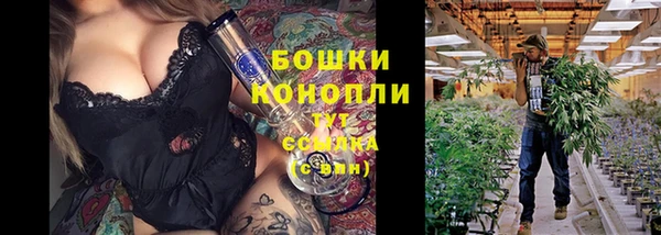 дурь Алексеевка