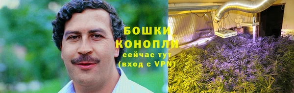 дурь Алексеевка
